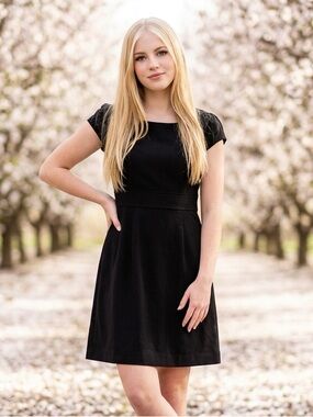 Banana Republic Black Fit and Flare Dress Size: 4